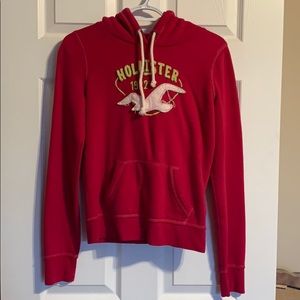 Hollister Hoodie